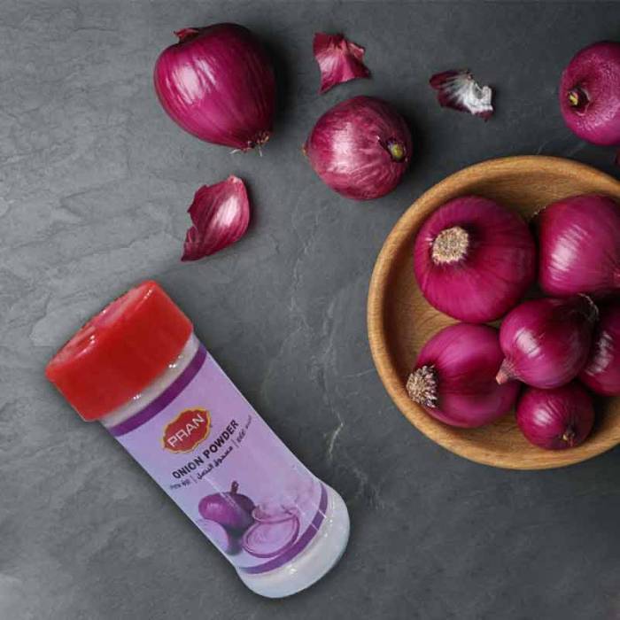 PRAN ONION POWDER 100GM